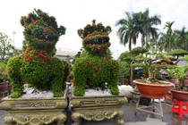 Tất tần tật kiểng hình chó đón Tết Mậu Tuất 2018