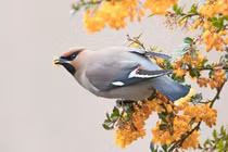 Ai sinh ngày Âm lịch này đón vận may ào vào nhà