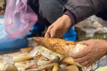 Lộc rừng xuống phố thành đặc sản, chị em rủ nhau mua cả yến về ăn