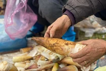 Lộc rừng xuống phố thành đặc sản, chị em rủ nhau mua cả yến về ăn