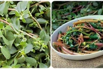Loại rau dại ngon xuất sắc, nhưng đại kỵ với 4 nhóm người này 