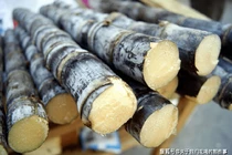 Không ngờ mía hấp có nhiều công dụng tốt cho sức khỏe đến vậy