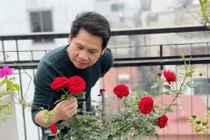 Mãn nhãn cơ ngơi bề thế giữa Hà Nội của ca sĩ Trọng Tấn 