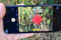 Cách chuyển ảnh nền mờ thành thông thường trên iOS 11