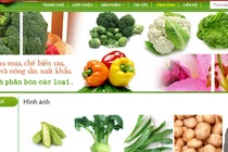 “Soi” hồ sơ Nông sản Trình Nhi bị nghi cung cấp rau sạch “dỏm”