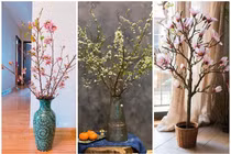 Soi giá các loại hoa nhập khẩu gây sốt thị trường Tết 2021