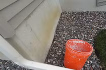 8 vật dụng bất ngờ trong nhà đang là chỗ nuôi muỗi 