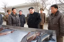 Tận mục trang trại cá trê cực lớn ở Triều Tiên