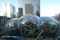 Cận cảnh rừng nhân tạo 4 tỷ USD ngay giữa văn phòng Amazon 