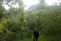 Kỳ công trồng cả trăm cây sưa đỏ đắt như vàng, lái cứ gạ mua