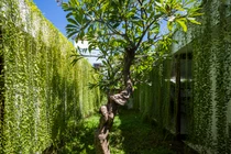 Ngôi nhà “ngăn kéo” xanh mướt mắt ở Vũng Tàu trên báo Mỹ