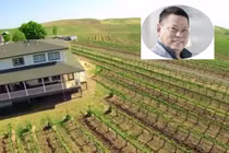 Biệt thự thơ mộng giữa vườn nho khổng lồ của tỷ phú Hoàng Kiều