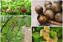 View - Loài cá trên núi cao, nửa triệu đồng/kg vẫn “cháy hàng“ | Báo Tri thức và Cuộc sống - TIN TỨC PHỔ BIẾN KIẾN THỨC 24H