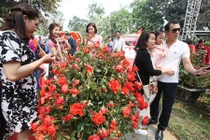 Báo cáo “khách hân hoan“, BTC lễ hội Hoa hồng coi thường dư luận?