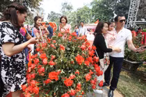 Báo cáo “khách hân hoan“, BTC lễ hội Hoa hồng coi thường dư luận?