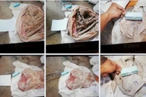 Vụ 9 bộ hài cốt trong nhà dân: Thực hư lời khai ‘mua bán 100 triệu đồng/bộ’