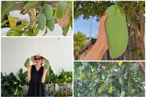 Hé lộ điều đặc biệt trong tổ ấm triệu đô của Tăng Thanh Hà