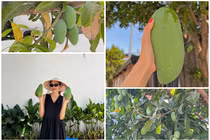 Hé lộ điều đặc biệt trong tổ ấm triệu đô của Tăng Thanh Hà