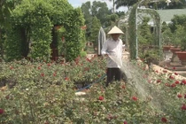 Vườn cảnh 70 tỷ của lão nông Đồng Tháp 