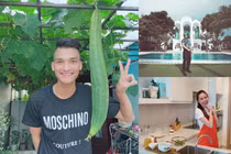 “Đặt lên bàn cân” biệt thự tiền tỷ... sao Việt thuê ở