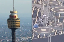 Úc: Leo lên tháp cao 270m, gỡ dây an toàn rồi gieo mình xuống đất