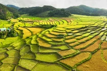 Hành trình khám phá Măng Đen - Đà Lạt thu nhỏ giữa lòng Tây Nguyên