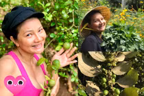 Khu vườn nghìn m2 ngập rau, quả của diễn viên Kiều Trinh 