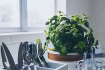 Phong thủy nhà bếp cần kiêng kị những gì?