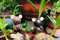 Bonsai chơi Tết 2020 “siêu chát”, dân Việt vẫn phút mốt xuống tiền sở hữu 