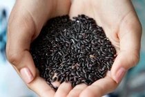 Ăn gạo lứt để giảm cân sau Tết: 5 tai hại cần tránh