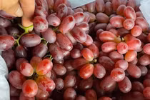 Sự thật "ngã ngửa" về loại nho ruby không hạt giá rẻ bán đầy chợ Việt