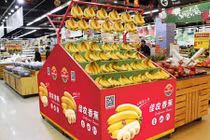 Hình ảnh xuất khẩu chuối khiến bầu Đức lãi khủng