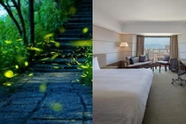 Ở những khách sạn này sẽ được ngẩn ngơ ngắm đom đóm lập lòe 