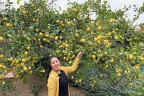 View - "Biệt phủ" trồng rau, cây ăn trái của Tiết Cương và vợ trẻ | Báo Tri thức và Cuộc sống - TIN TỨC PHỔ BIẾN KIẾN THỨC 24H