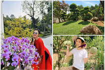 Bên trong nhà vườn 2.500m2 của Việt Trinh sau giải nghệ