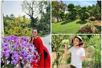 Bên trong nhà vườn 2.500m2 của Việt Trinh sau giải nghệ