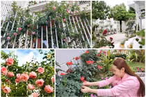 Biệt thự phủ kín hoa của sao nam Việt và vợ doanh nhân