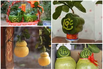 Muôn kiểu bưởi tạo hình độc đáo hút khách dịp Tết