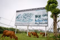 Bên trong KĐT 2.000 ha bỏ hoang Thủ tướng yêu cầu kiểm tra