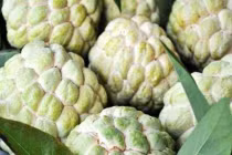 Cách nhận biết na chín tự nhiên và na ủ thuốc chín ép siêu đơn giản