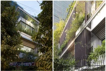 Báo Mỹ trầm trồ biệt thự phủ kín cây xanh giữa Hà Nội