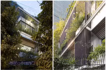 Báo Mỹ trầm trồ biệt thự phủ kín cây xanh giữa Hà Nội