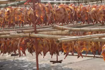 Sự thật tàn nhẫn đằng sau món gà hong gió nhà giàu săn lùng