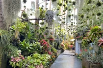 Mê mẩn căn nhà 300m2 như chốn “tiên cảnh” giữa TP Cần Thơ