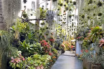 Mê mẩn căn nhà 300m2 như chốn “tiên cảnh” giữa TP Cần Thơ