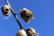 Sửng sốt loạt ảnh đánh lừa thị giác hoàn hảo, ai cũng "xoay vòng vòng"