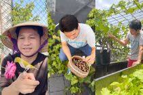 Không gian “quê trong phố” trong cơ ngơi bạc tỷ của ca sĩ Trọng Tấn