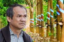 Bầu Đức chia tay cao su-con bài chiến lược sau nhiều năm nỗ lực