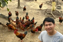 View - Những loại rau trồng ban công trong tháng 9 "lớn nhanh như thổi" | Báo Tri thức và Cuộc sống - TIN TỨC PHỔ BIẾN KIẾN THỨC 24H