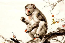 Sau đêm nay 3 tuổi đạp trúng hố vàng càng chăm chỉ càng giàu sang